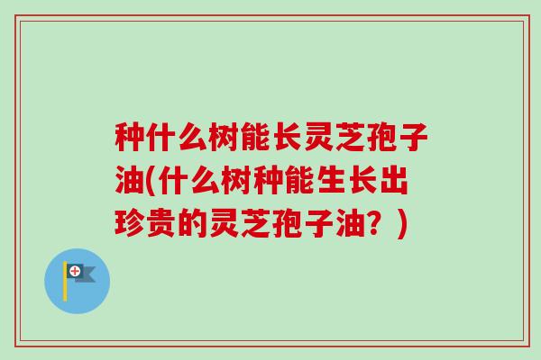 种什么树能长灵芝孢子油(什么树种能生长出珍贵的灵芝孢子油？)-第1张图片-卓越灵芝孢子粉