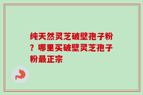 纯天然灵芝破壁孢子粉？哪里买破壁灵芝孢子粉最正宗-第1张图片-卓越灵芝孢子粉