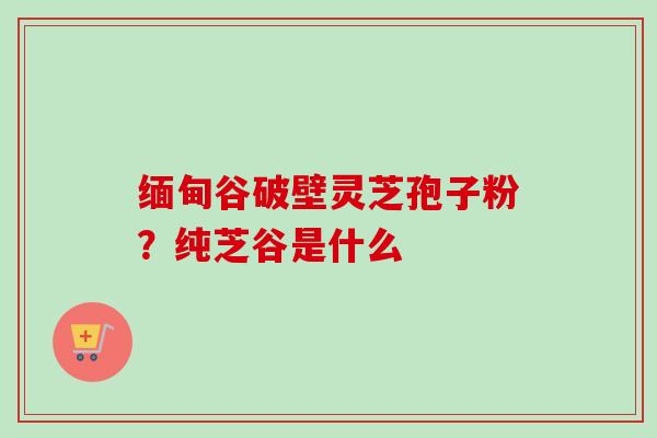 缅甸谷破壁灵芝孢子粉？纯芝谷是什么-第1张图片-卓越灵芝孢子粉