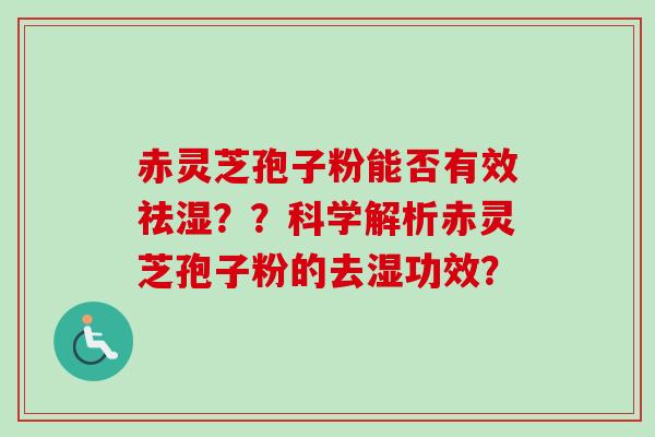 赤灵芝孢子粉能否有效祛湿??科学解析赤灵芝孢子粉的去湿功效?-第1张图片-卓越灵芝孢子粉 赤灵芝孢子粉能否有效祛湿??科学解析赤灵芝孢子粉的去湿功效?-第1张图片-卓越灵芝孢子粉