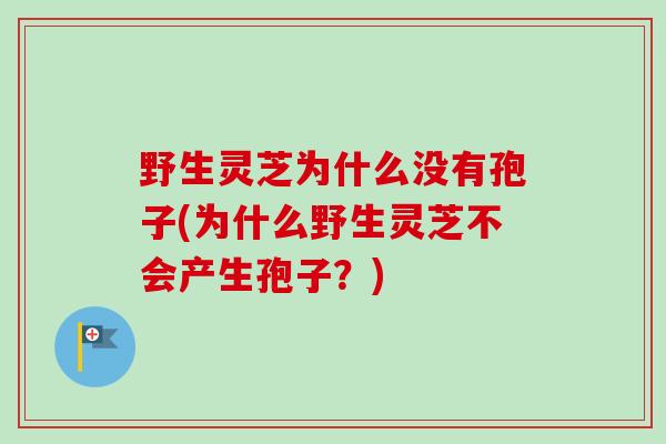 野生灵芝为什么没有孢子(为什么野生灵芝不会产生孢子?)-第1张图片-卓越灵芝孢子粉 野生灵芝为什么没有孢子(为什么野生灵芝不会产生孢子?)-第1张图片-卓越灵芝孢子粉