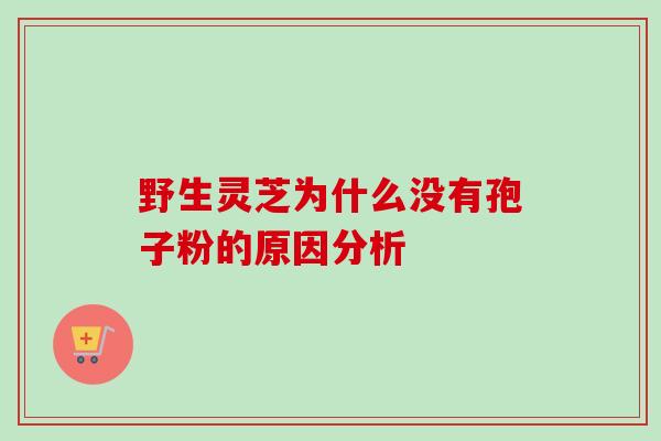 野生灵芝为什么没有孢子粉的原因分析-第1张图片-卓越灵芝孢子粉 野生灵芝为什么没有孢子粉的原因分析-第1张图片-卓越灵芝孢子粉