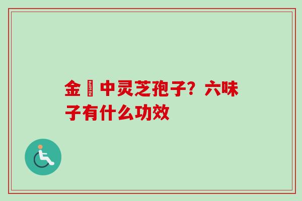 金貴中灵芝孢子？六味子有什么功效-第1张图片-卓越灵芝孢子粉