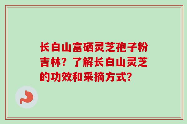 长白山富硒灵芝孢子粉吉林？了解长白山灵芝的功效和采摘方式？-第1张图片-卓越灵芝孢子粉