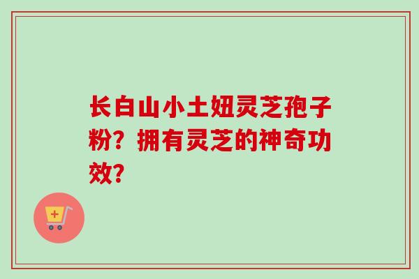 长白山小土妞灵芝孢子粉？拥有灵芝的神奇功效？-第1张图片-卓越灵芝孢子粉