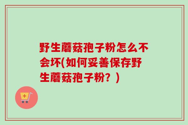 野生蘑菇孢子粉怎么不会坏(如何妥善保存野生蘑菇孢子粉?)-第1张图片-卓越灵芝孢子粉 野生蘑菇孢子粉怎么不会坏(如何妥善保存野生蘑菇孢子粉?)-第1张图片-卓越灵芝孢子粉