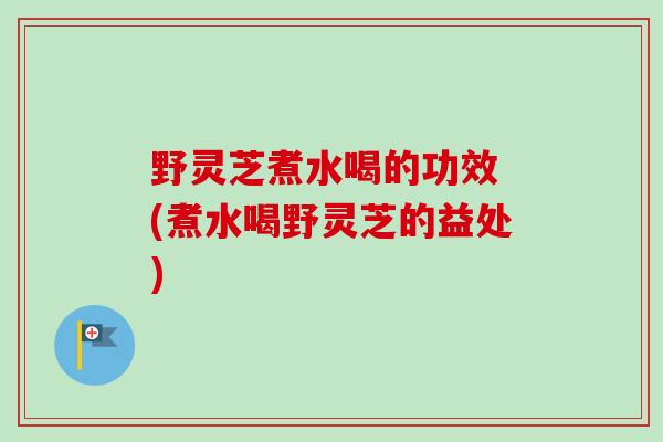 野灵芝煮水喝的功效 (煮水喝野灵芝的益处)-第1张图片-卓越灵芝孢子粉 野灵芝煮水喝的功效 (煮水喝野灵芝的益处)-第1张图片-卓越灵芝孢子粉