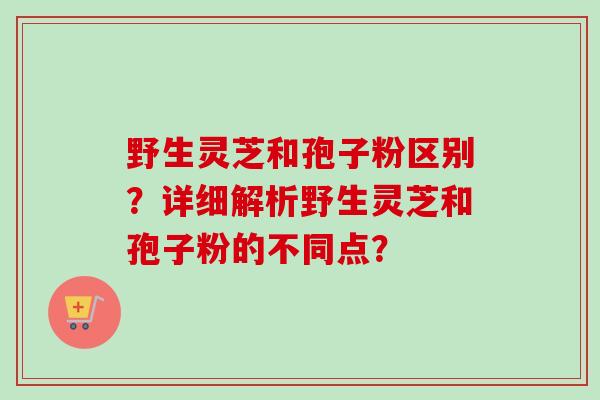 野生灵芝和孢子粉区别?详细解析野生灵芝和孢子粉的不同点?-第1张图片-卓越灵芝孢子粉 野生灵芝和孢子粉区别?详细解析野生灵芝和孢子粉的不同点?-第1张图片-卓越灵芝孢子粉