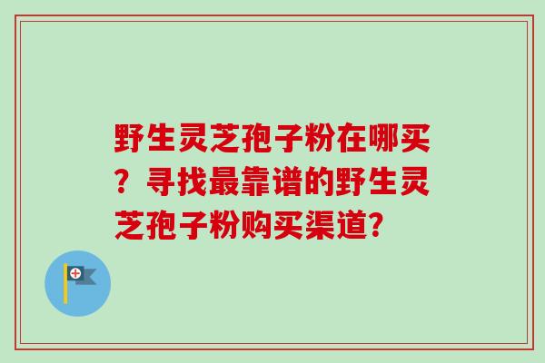 野生灵芝孢子粉在哪买？寻找最靠谱的野生灵芝孢子粉购买渠道？-第1张图片-卓越灵芝孢子粉