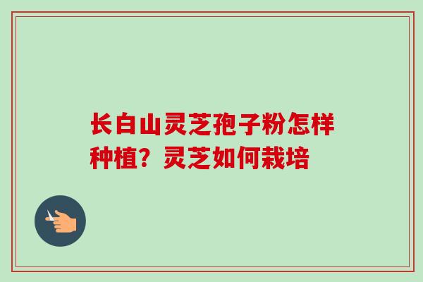 长白山灵芝孢子粉怎样种植?灵芝如何栽培-第1张图片-卓越灵芝孢子粉 长白山灵芝孢子粉怎样种植?灵芝如何栽培-第1张图片-卓越灵芝孢子粉