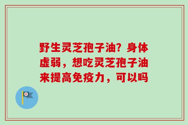 野生灵芝孢子油？身体虚弱，想吃灵芝孢子油来提高免疫力，可以吗-第1张图片-卓越灵芝孢子粉