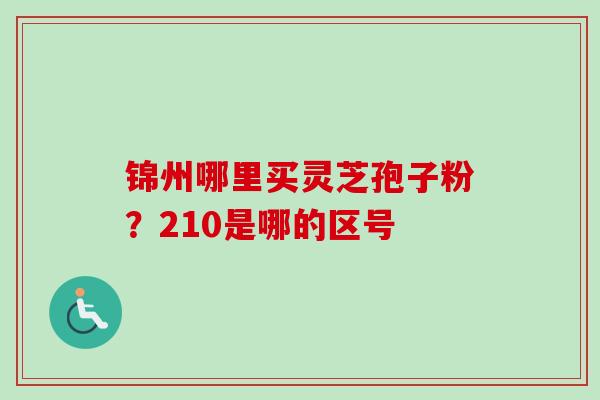 锦州哪里买灵芝孢子粉?210是哪的区号-第1张图片-卓越灵芝孢子粉 锦州哪里买灵芝孢子粉?210是哪的区号-第1张图片-卓越灵芝孢子粉