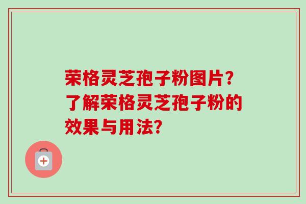 荣格灵芝孢子粉图片？了解荣格灵芝孢子粉的效果与用法？-第1张图片-卓越灵芝孢子粉
