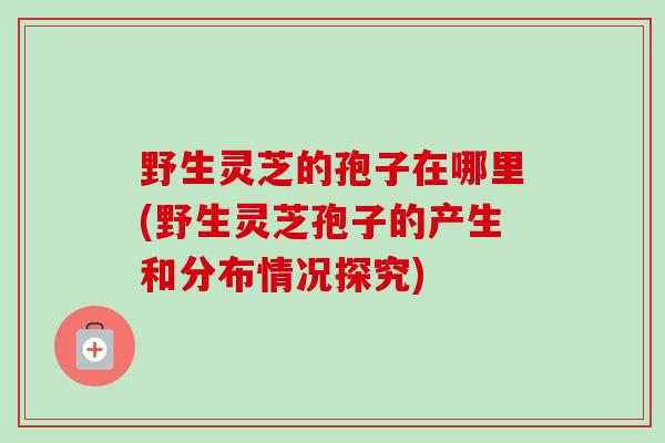 野生灵芝的孢子在哪里(野生灵芝孢子的产生和分布情况探究)-第1张图片-卓越灵芝孢子粉 野生灵芝的孢子在哪里(野生灵芝孢子的产生和分布情况探究)-第1张图片-卓越灵芝孢子粉