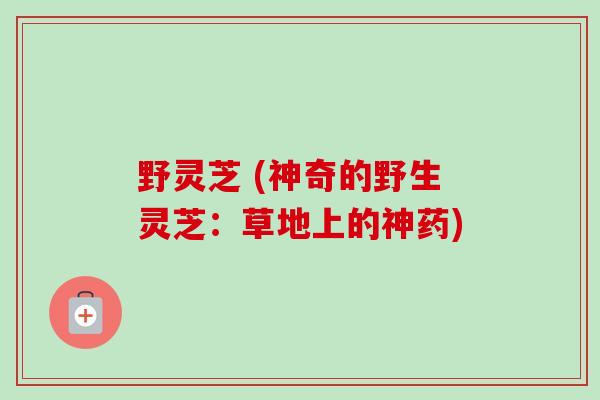 野灵芝 (神奇的野生灵芝:草地上的神药)-第1张图片-卓越灵芝孢子粉 野灵芝 (神奇的野生灵芝:草地上的神药)-第1张图片-卓越灵芝孢子粉