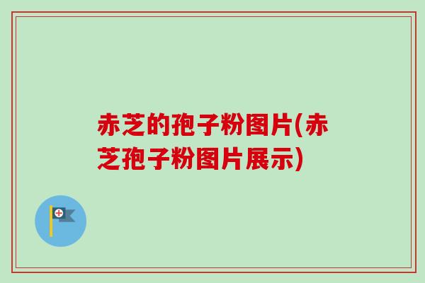 赤芝的孢子粉图片(赤芝孢子粉图片展示)-第1张图片-卓越灵芝孢子粉 赤芝的孢子粉图片(赤芝孢子粉图片展示)-第1张图片-卓越灵芝孢子粉