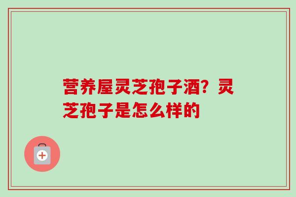 营养屋灵芝孢子酒?灵芝孢子是怎么样的-第1张图片-卓越灵芝孢子粉 营养屋灵芝孢子酒?灵芝孢子是怎么样的-第1张图片-卓越灵芝孢子粉