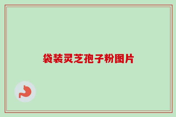 袋装灵芝孢子粉图片-第1张图片-卓越灵芝孢子粉