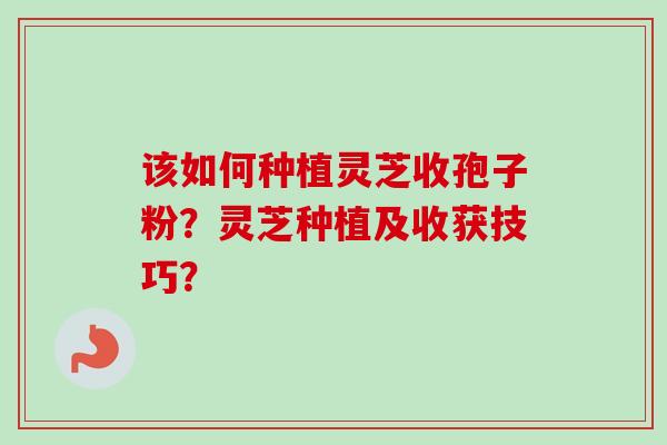 该如何种植灵芝收孢子粉?灵芝种植及收获技巧?-第1张图片-卓越灵芝孢子粉 该如何种植灵芝收孢子粉?灵芝种植及收获技巧?-第1张图片-卓越灵芝孢子粉