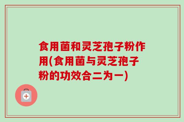 食用菌和灵芝孢子粉作用(食用菌与灵芝孢子粉的功效合二为一)-第1张图片-卓越灵芝孢子粉