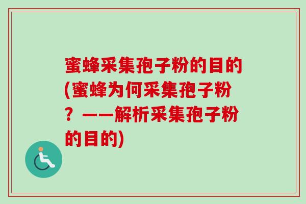 蜜蜂采集孢子粉的目的(蜜蜂为何采集孢子粉?——解析采集孢子粉的目的)-第1张图片-卓越灵芝孢子粉 蜜蜂采集孢子粉的目的(蜜蜂为何采集孢子粉?——解析采集孢子粉的目的)-第1张图片-卓越灵芝孢子粉