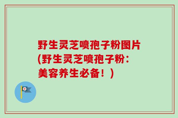 野生灵芝喷孢子粉图片(野生灵芝喷孢子粉:美容养生必备!)-第1张图片-卓越灵芝孢子粉 野生灵芝喷孢子粉图片(野生灵芝喷孢子粉:美容养生必备!)-第1张图片-卓越灵芝孢子粉