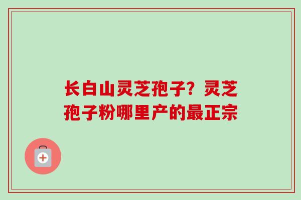 长白山灵芝孢子?灵芝孢子粉哪里产的最正宗-第1张图片-卓越灵芝孢子粉 长白山灵芝孢子?灵芝孢子粉哪里产的最正宗-第1张图片-卓越灵芝孢子粉