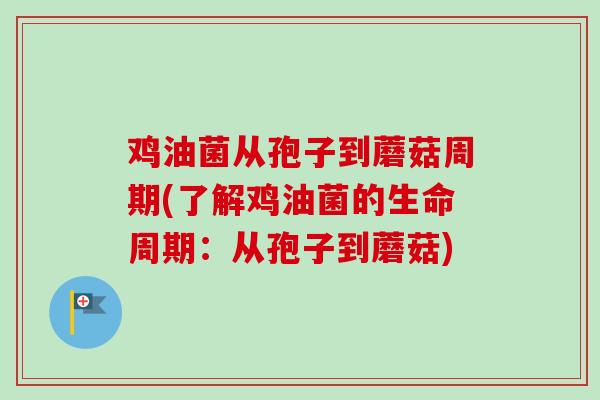 鸡油菌从孢子到蘑菇周期(了解鸡油菌的生命周期：从孢子到蘑菇)-第1张图片-卓越灵芝孢子粉