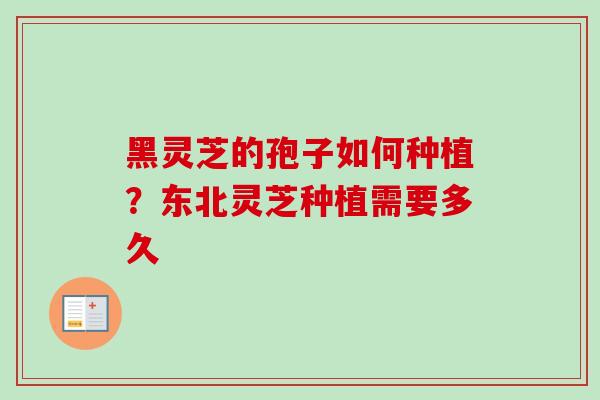 黑灵芝的孢子如何种植?东北灵芝种植需要多久-第1张图片-卓越灵芝孢子粉 黑灵芝的孢子如何种植?东北灵芝种植需要多久-第1张图片-卓越灵芝孢子粉