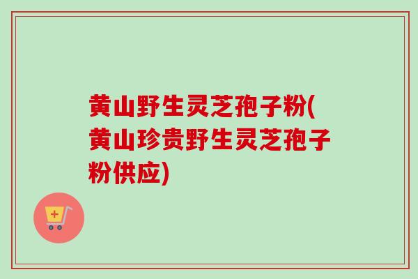 黄山野生灵芝孢子粉(黄山珍贵野生灵芝孢子粉供应)-第1张图片-卓越灵芝孢子粉 黄山野生灵芝孢子粉(黄山珍贵野生灵芝孢子粉供应)-第1张图片-卓越灵芝孢子粉