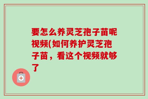 要怎么养灵芝孢子苗呢视频(如何养护灵芝孢子苗,看这个视频就够了-第1张图片-卓越灵芝孢子粉 要怎么养灵芝孢子苗呢视频(如何养护灵芝孢子苗,看这个视频就够了-第1张图片-卓越灵芝孢子粉