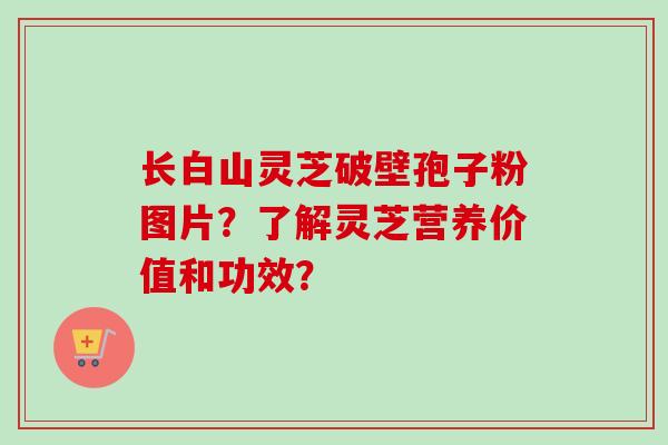 长白山灵芝破壁孢子粉图片?了解灵芝营养价值和功效?-第1张图片-卓越灵芝孢子粉 长白山灵芝破壁孢子粉图片?了解灵芝营养价值和功效?-第1张图片-卓越灵芝孢子粉