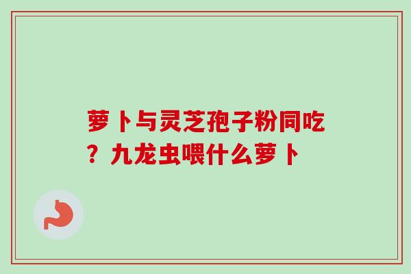 萝卜与灵芝孢子粉同吃？九龙虫喂什么萝卜-第1张图片-卓越灵芝孢子粉