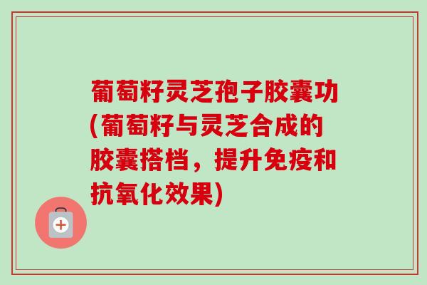 葡萄籽灵芝孢子胶囊功(葡萄籽与灵芝合成的胶囊搭档，提升免疫和抗氧化效果)-第1张图片-卓越灵芝孢子粉