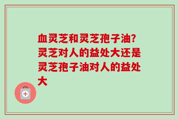 血灵芝和灵芝孢子油？灵芝对人的益处大还是灵芝孢子油对人的益处大-第1张图片-卓越灵芝孢子粉