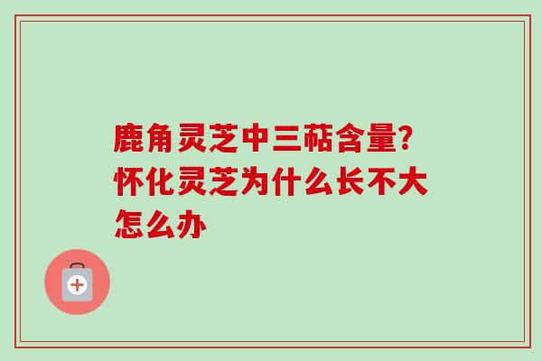 鹿角灵芝中三萜含量?怀化灵芝为什么长不大怎么办-第1张图片-卓越灵芝孢子粉 鹿角灵芝中三萜含量?怀化灵芝为什么长不大怎么办-第1张图片-卓越灵芝孢子粉