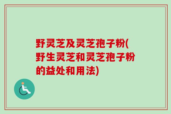 野灵芝及灵芝孢子粉(野生灵芝和灵芝孢子粉的益处和用法)-第1张图片-卓越灵芝孢子粉