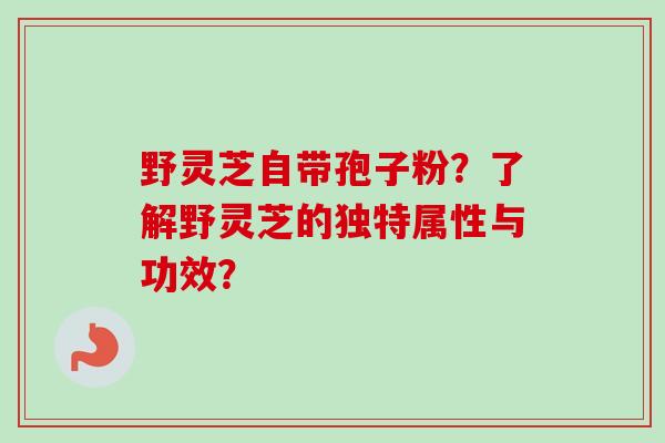 野灵芝自带孢子粉？了解野灵芝的独特属性与功效？-第1张图片-卓越灵芝孢子粉