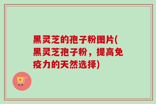 黑灵芝的孢子粉图片(黑灵芝孢子粉，提高免疫力的天然选择)-第1张图片-卓越灵芝孢子粉