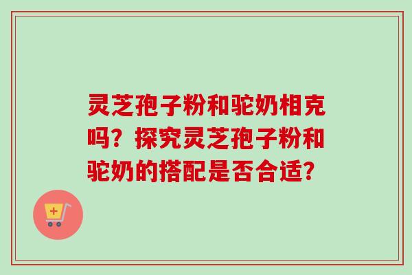 灵芝孢子粉和驼奶相克吗？探究灵芝孢子粉和驼奶的搭配是否合适？-第1张图片-卓越灵芝孢子粉