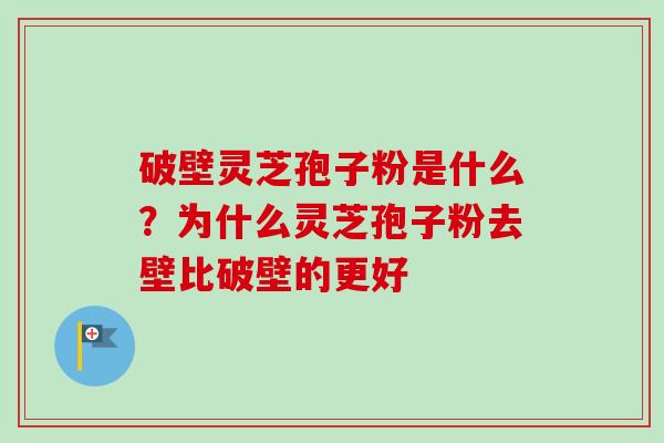 破壁灵芝孢子粉是什么？为什么灵芝孢子粉去壁比破壁的更好-第1张图片-卓越灵芝孢子粉