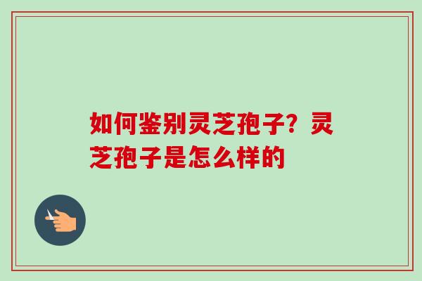 如何鉴别灵芝孢子？灵芝孢子是怎么样的-第1张图片-卓越灵芝孢子粉