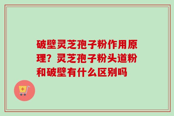破壁灵芝孢子粉作用原理？灵芝孢子粉头道粉和破壁有什么区别吗-第1张图片-卓越灵芝孢子粉