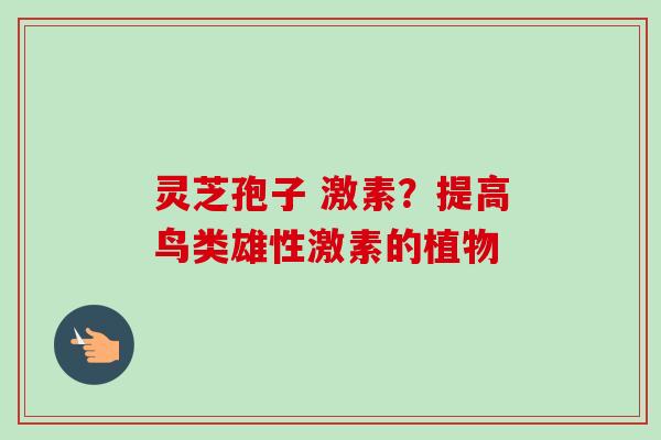 灵芝孢子 激素?提高鸟类雄性激素的植物-第1张图片-卓越灵芝孢子粉 灵芝孢子 激素?提高鸟类雄性激素的植物-第1张图片-卓越灵芝孢子粉
