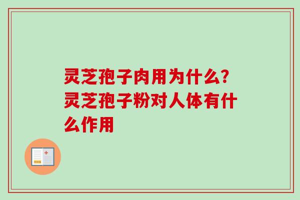 灵芝孢子肉用为什么？灵芝孢子粉对人体有什么作用-第1张图片-卓越灵芝孢子粉