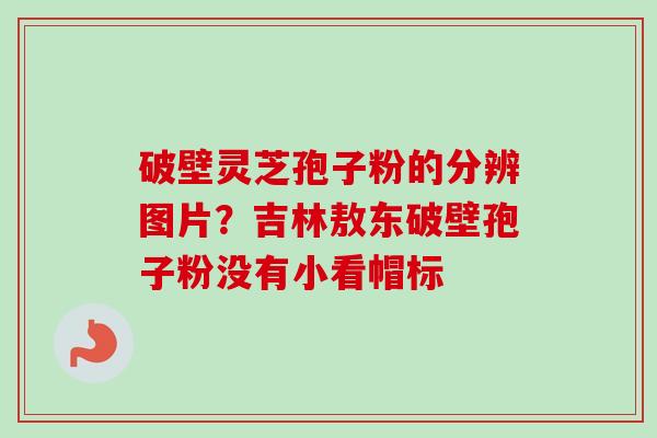 破壁灵芝孢子粉的分辨图片?吉林敖东破壁孢子粉没有小看帽标-第1张图片-卓越灵芝孢子粉 破壁灵芝孢子粉的分辨图片?吉林敖东破壁孢子粉没有小看帽标-第1张图片-卓越灵芝孢子粉