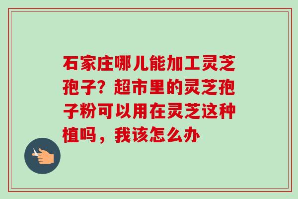 石家庄哪儿能加工灵芝孢子?超市里的灵芝孢子粉可以用在灵芝这种植吗,我该怎么办-第1张图片-卓越灵芝孢子粉 石家庄哪儿能加工灵芝孢子?超市里的灵芝孢子粉可以用在灵芝这种植吗,我该怎么办-第1张图片-卓越灵芝孢子粉