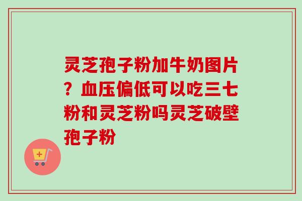 灵芝孢子粉加牛奶图片？血压偏低可以吃三七粉和灵芝粉吗灵芝破壁孢子粉-第1张图片-卓越灵芝孢子粉