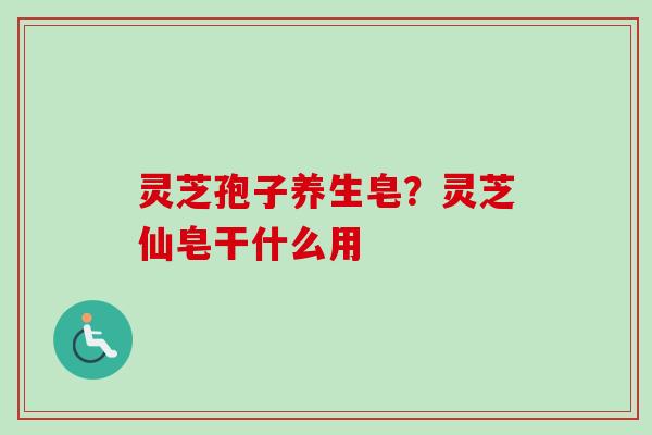 灵芝孢子养生皂?灵芝仙皂干什么用-第1张图片-卓越灵芝孢子粉 灵芝孢子养生皂?灵芝仙皂干什么用-第1张图片-卓越灵芝孢子粉