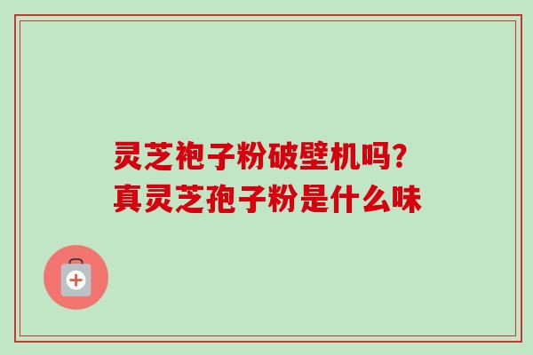 灵芝袍子粉破壁机吗？真灵芝孢子粉是什么味-第1张图片-卓越灵芝孢子粉